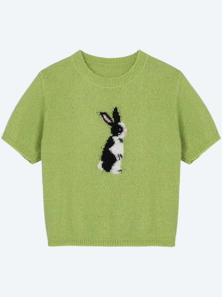 Soft Girl Rabbit Knitted Top